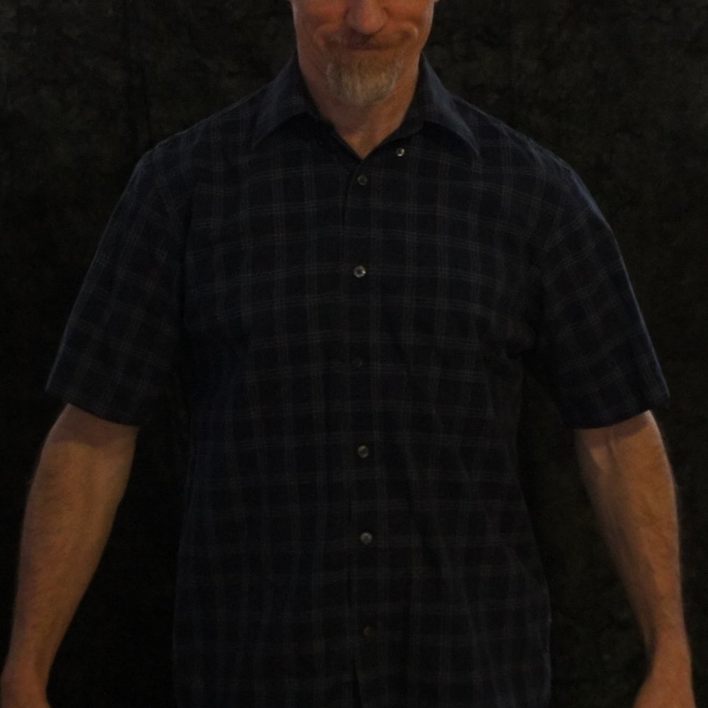 Plaid Short Sleeve Dress Shirt